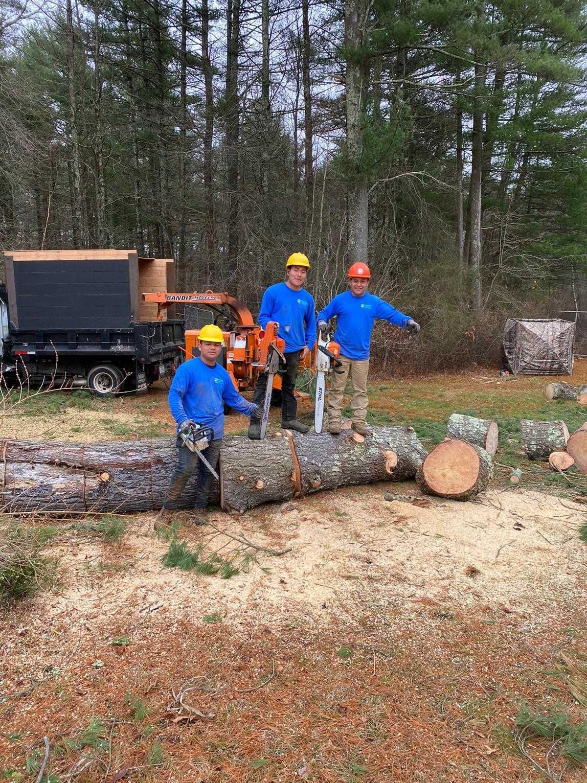 Workers in hard hats stand by a cut log in a wooded clearing with a wood chipper nearby