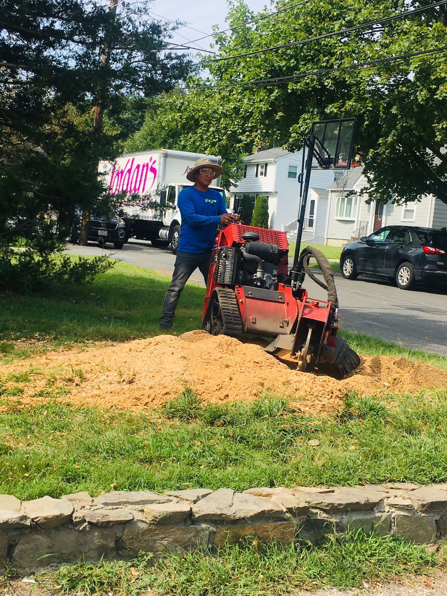 Worker using a red wood chipper on a pile of wood shavings beside a street in a leafy yard