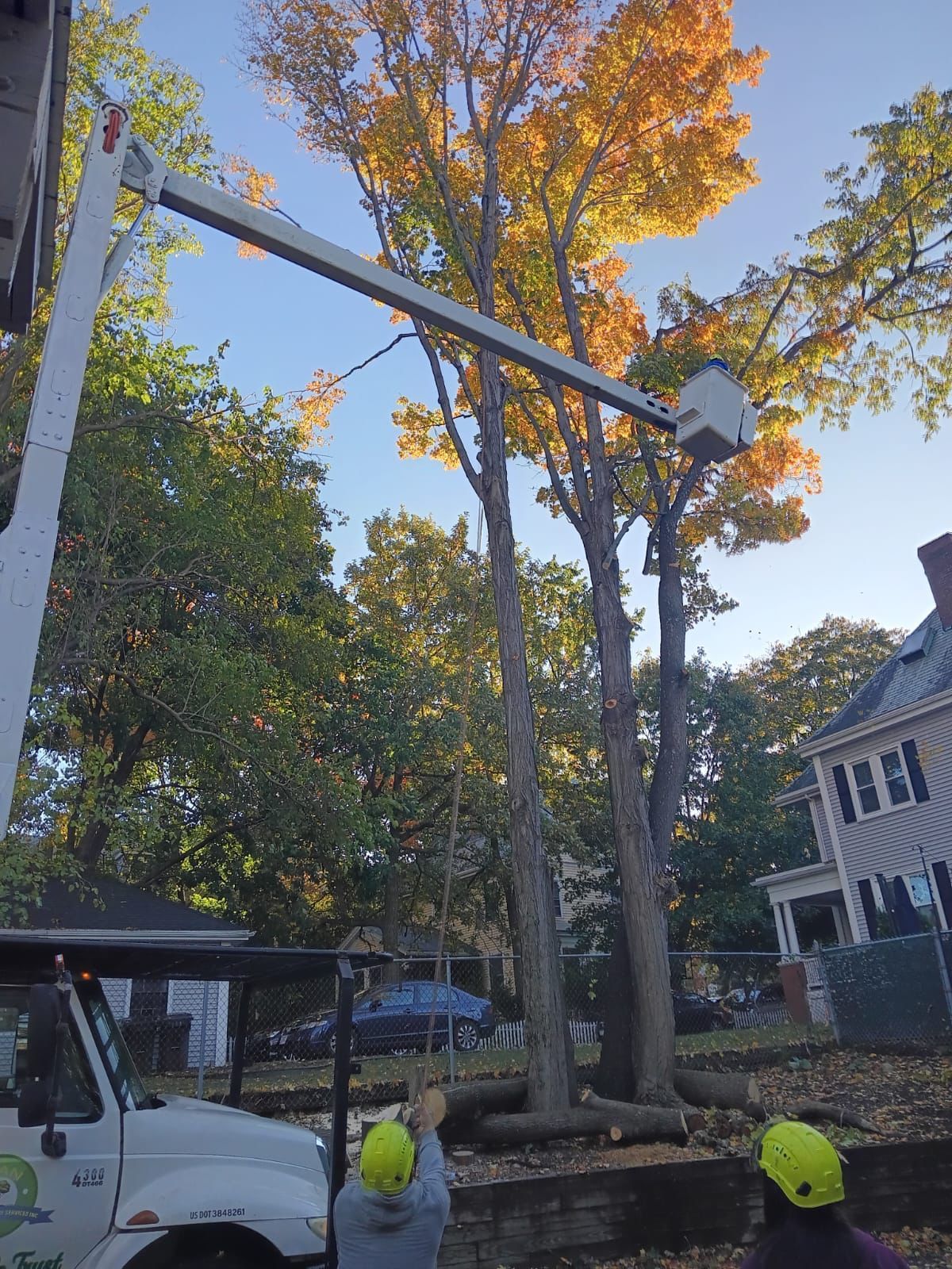 Utility truck lifting a large tree trunk beside a house on a residential street, workers in hard hats below.