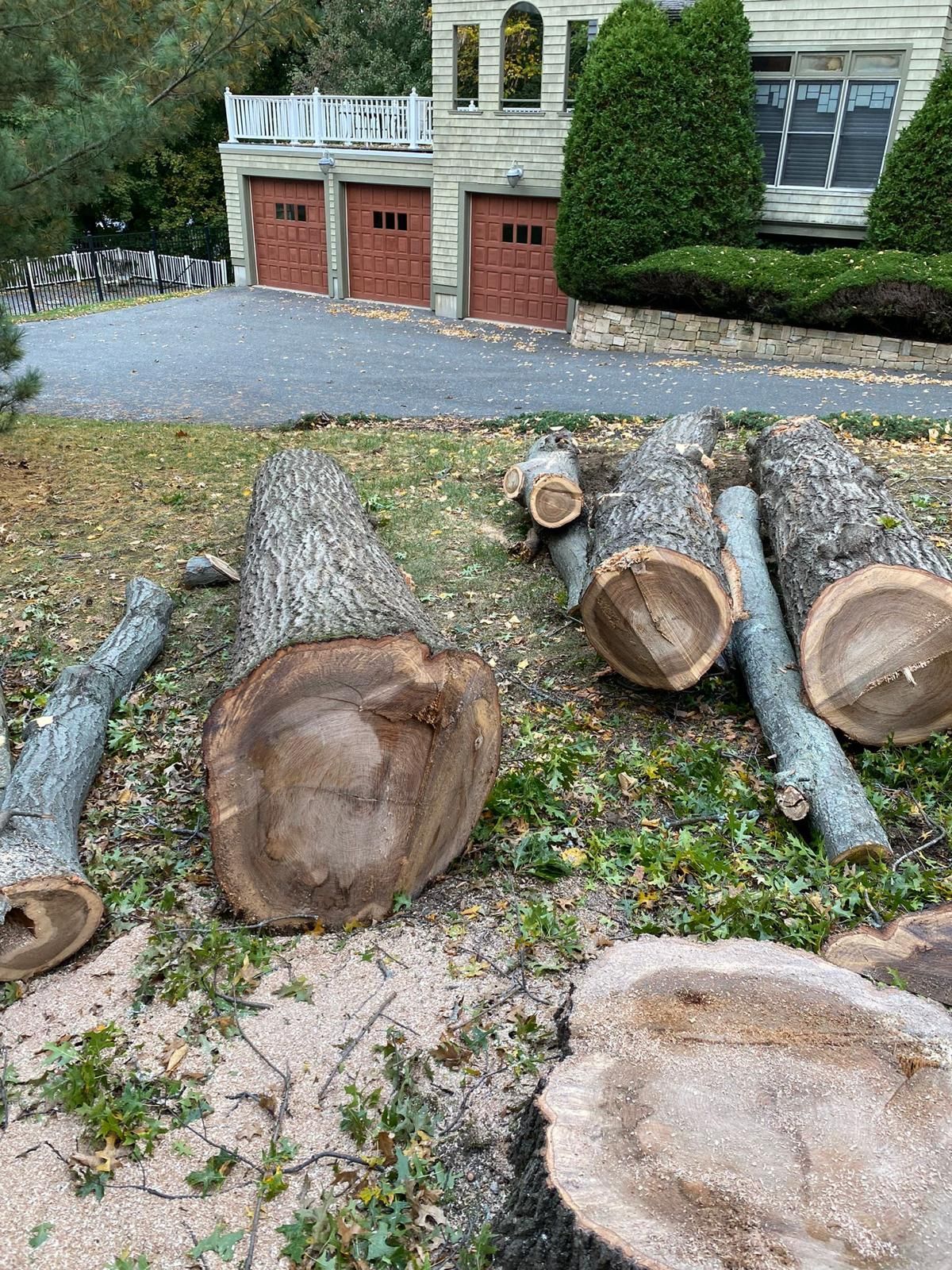Several cut tree trunks and logs stacked on a driveway in front of a house and garage