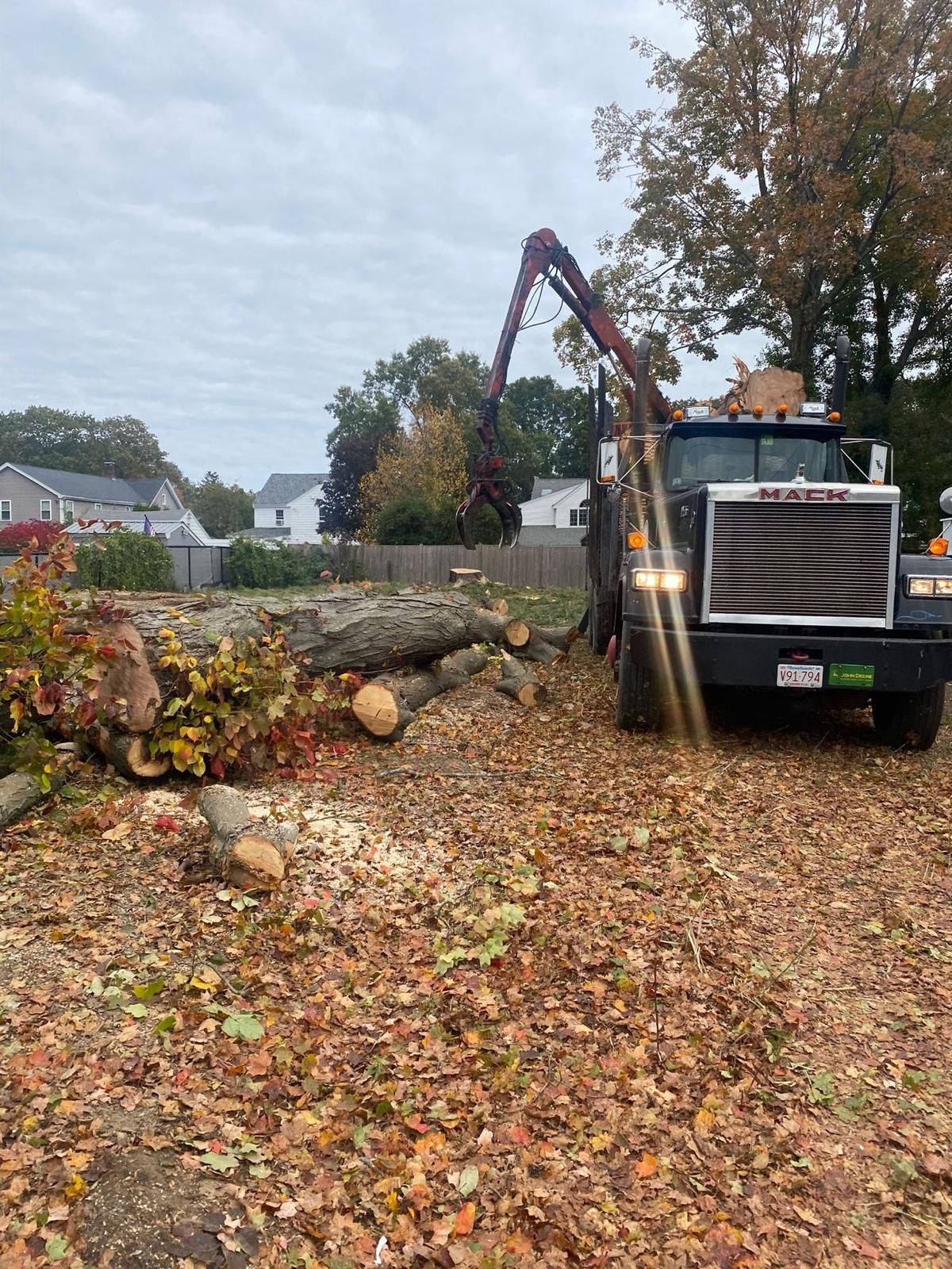 Tree removal truck loading fallen branches in a leafy residential yard under an overcast sky