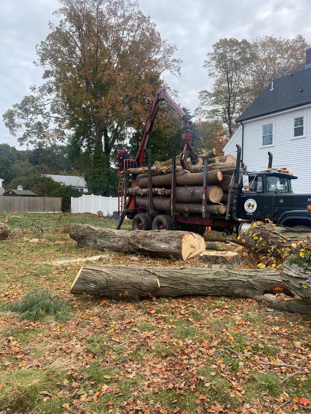 Logs stacked on a truck beside cut tree trunks in a yard with fallen autumn leaves.