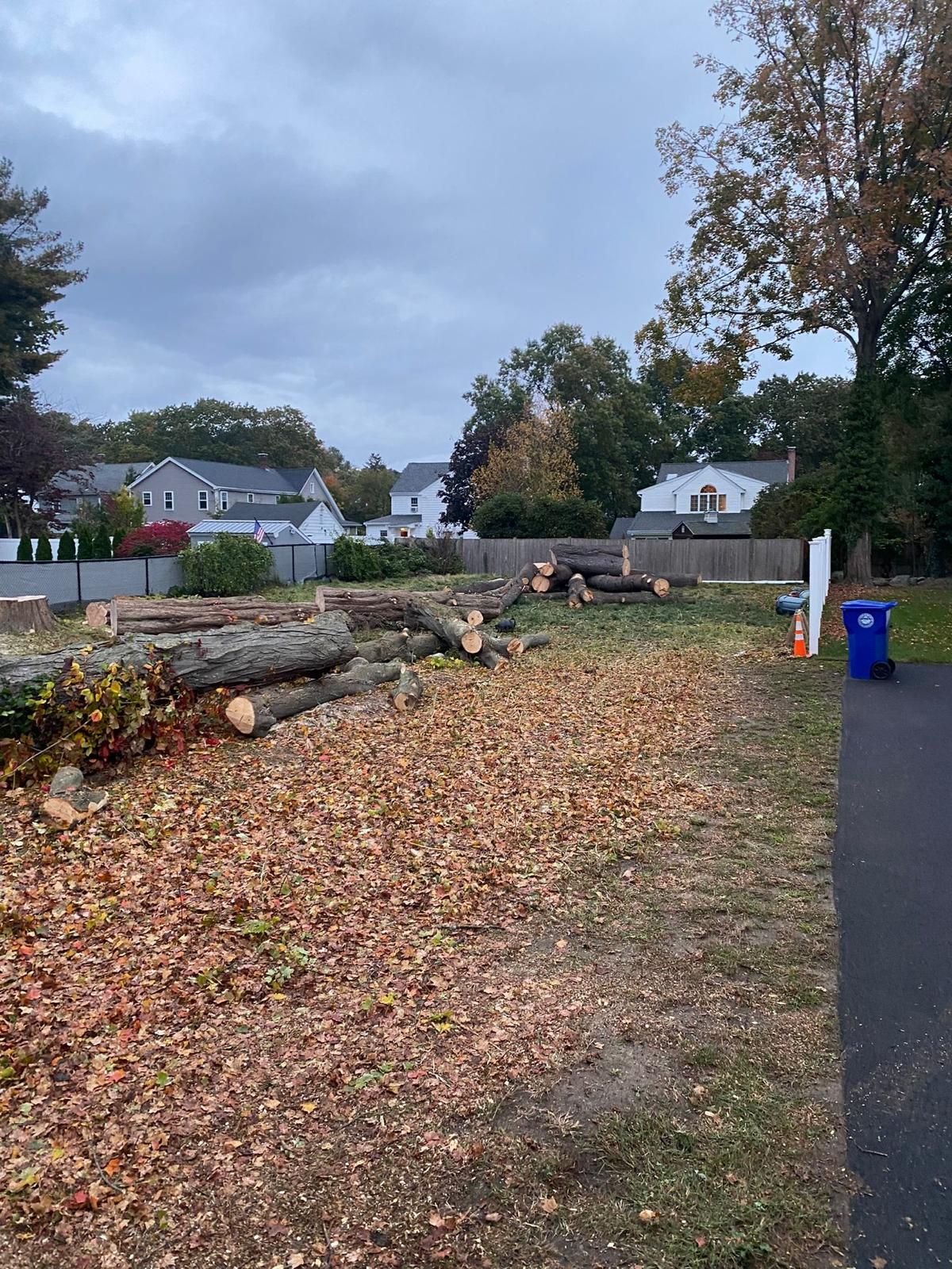 Leaf-covered roadside with fallen tree logs, houses in the background, and a blue trash bin by the curb.