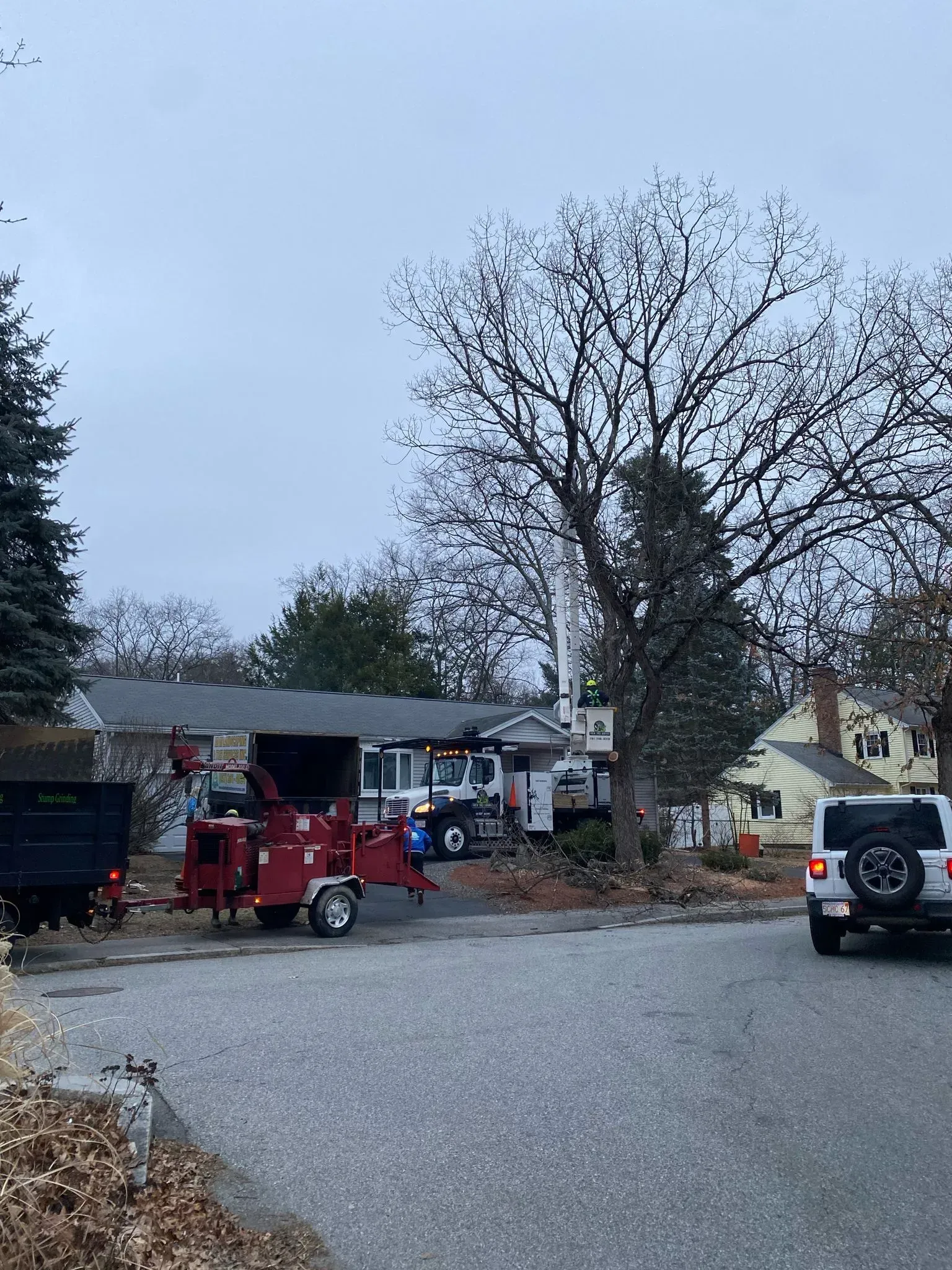 Emergency vehicles and a utility truck parked on a residential street beside a house and large tree.