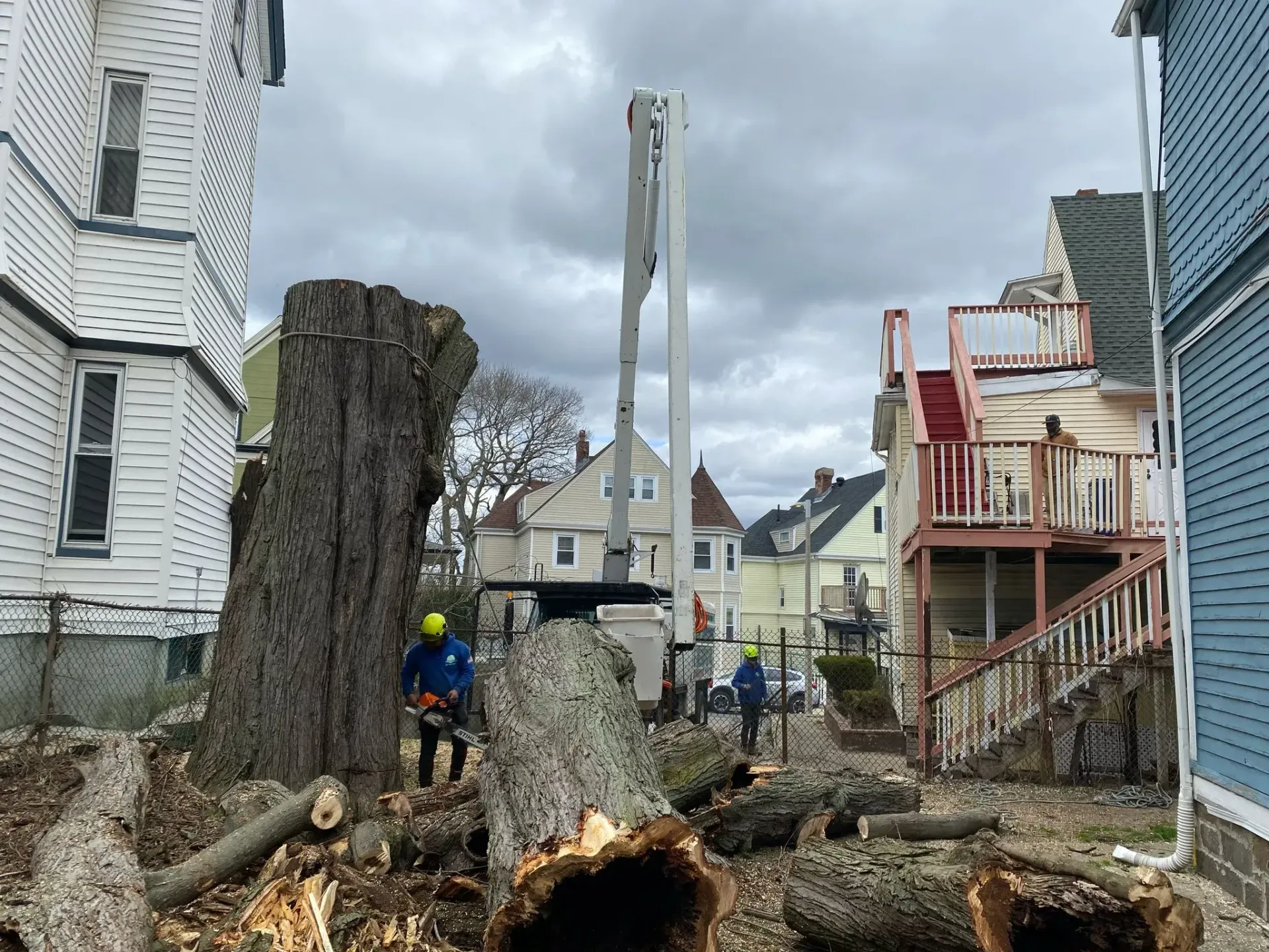 Tree removal crew working around a large fallen tree in a narrow residential alley, with a crane overhead.