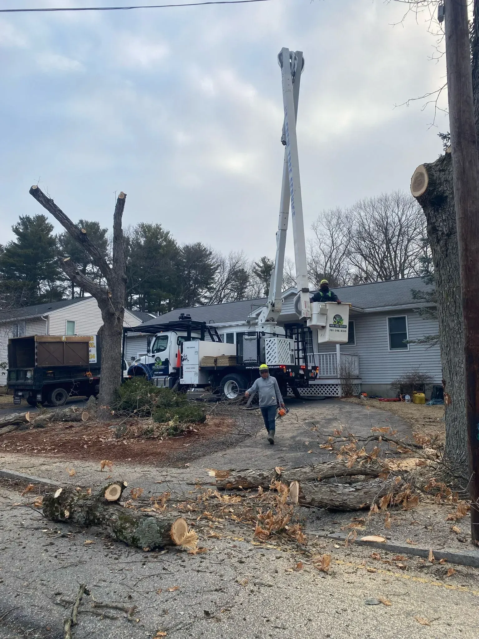 Storm damage cleanup with utility trucks and workers near fallen trees and debris outside a building