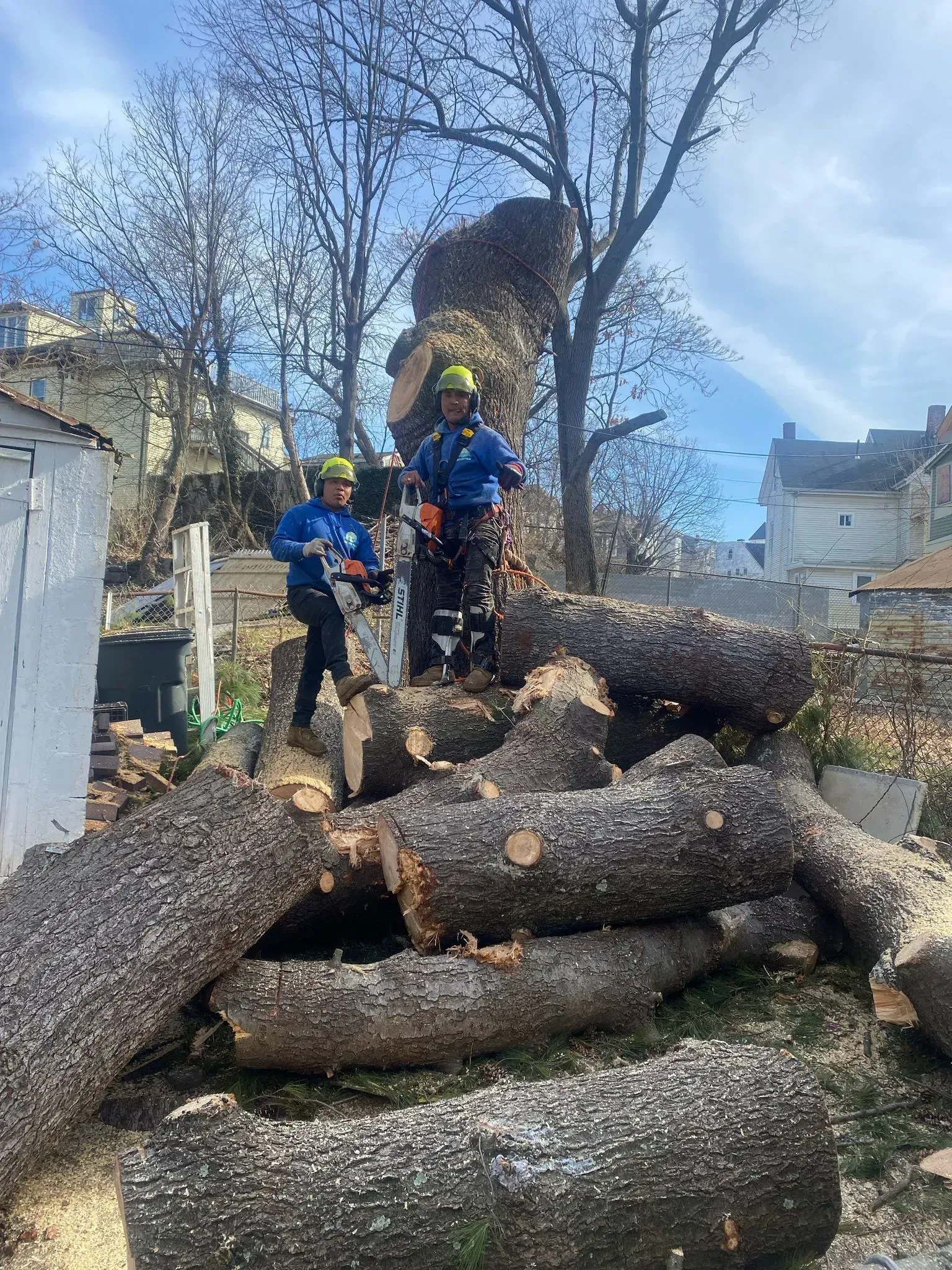Two workers in safety gear stand on stacked logs outdoors near houses and bare trees.