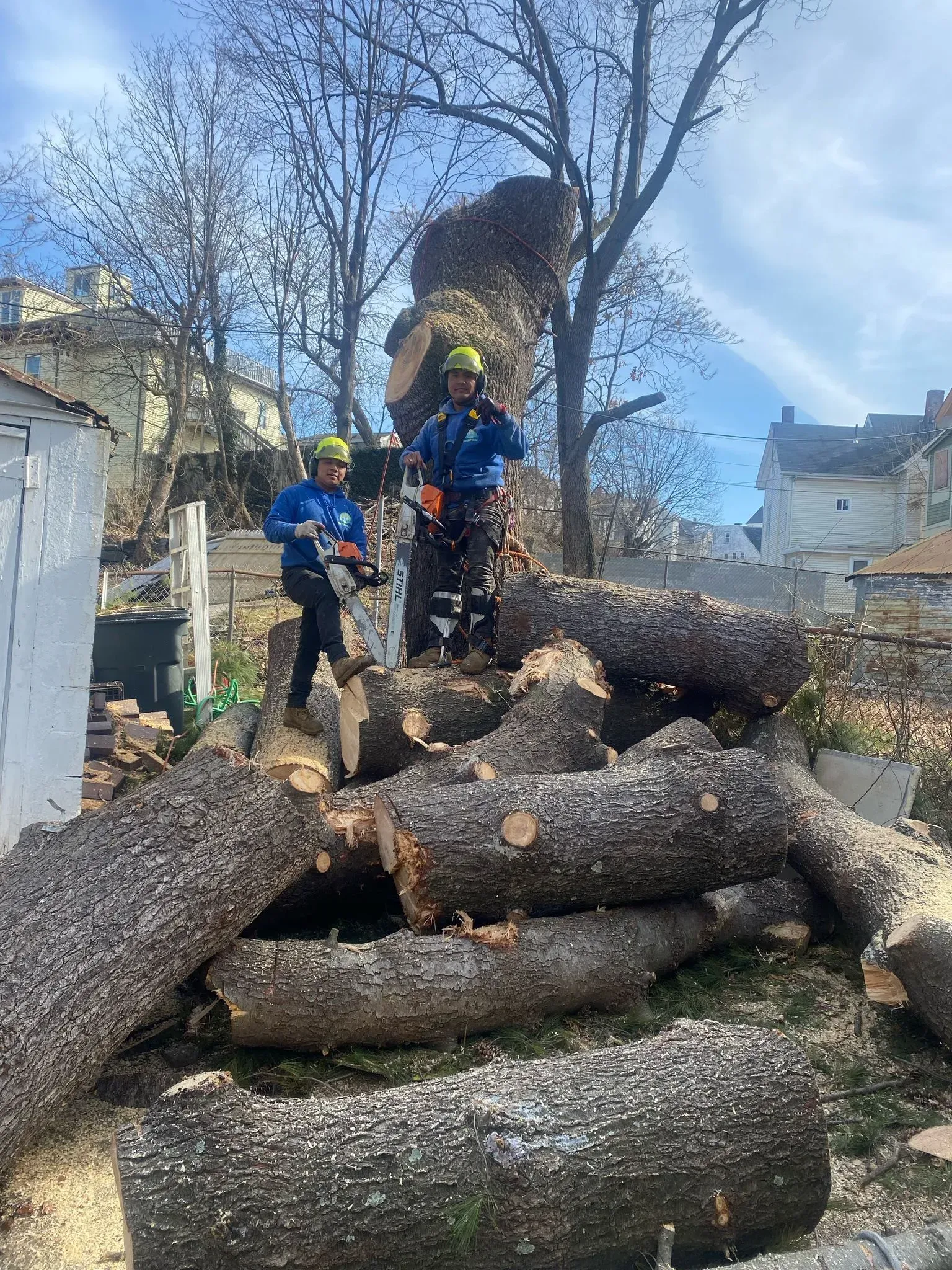 Two workers in blue helmets stack large logs outdoors under a blue sky.