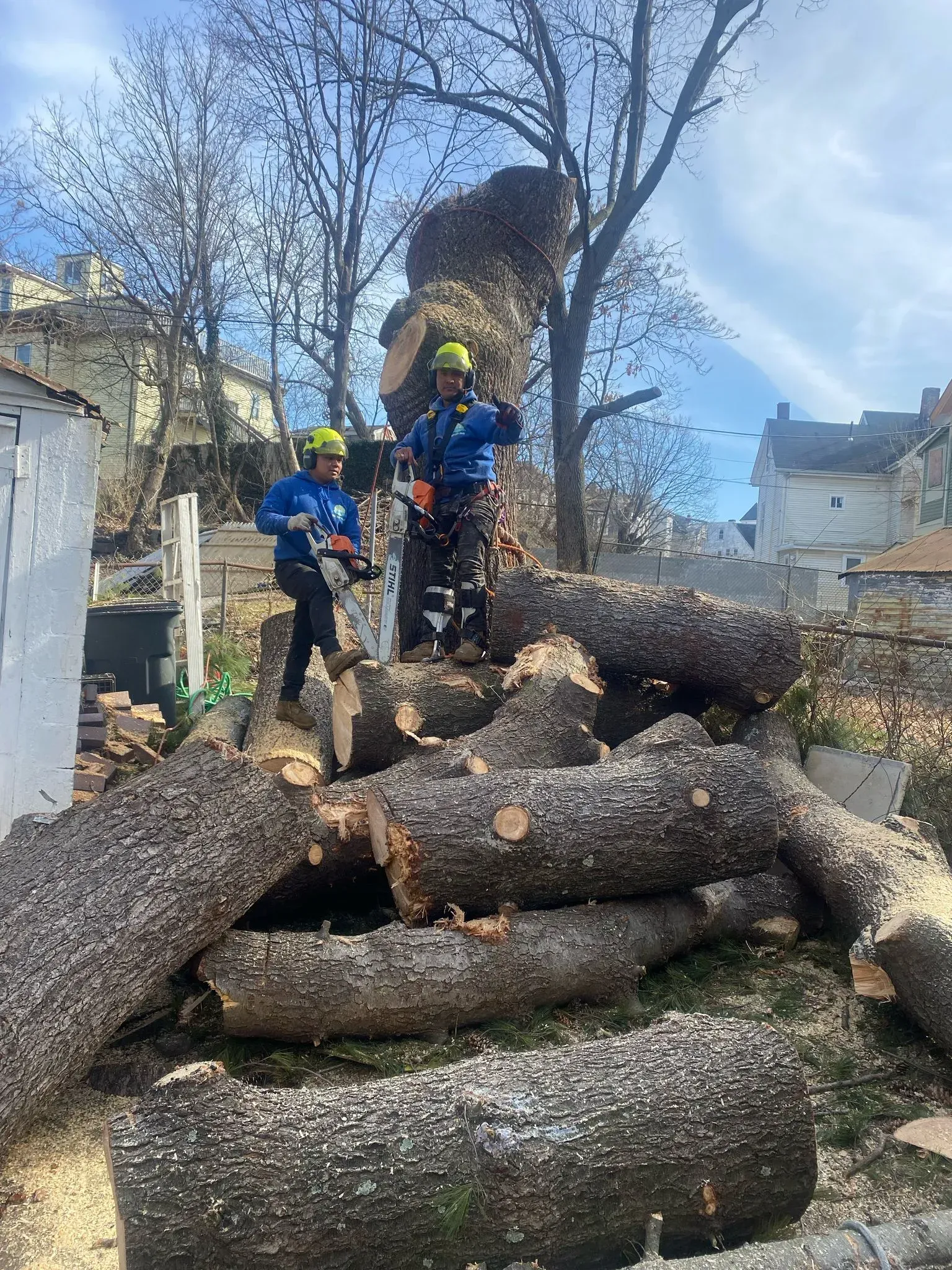 Workers in helmets cutting a large fallen tree trunk outdoors with chainsaws.