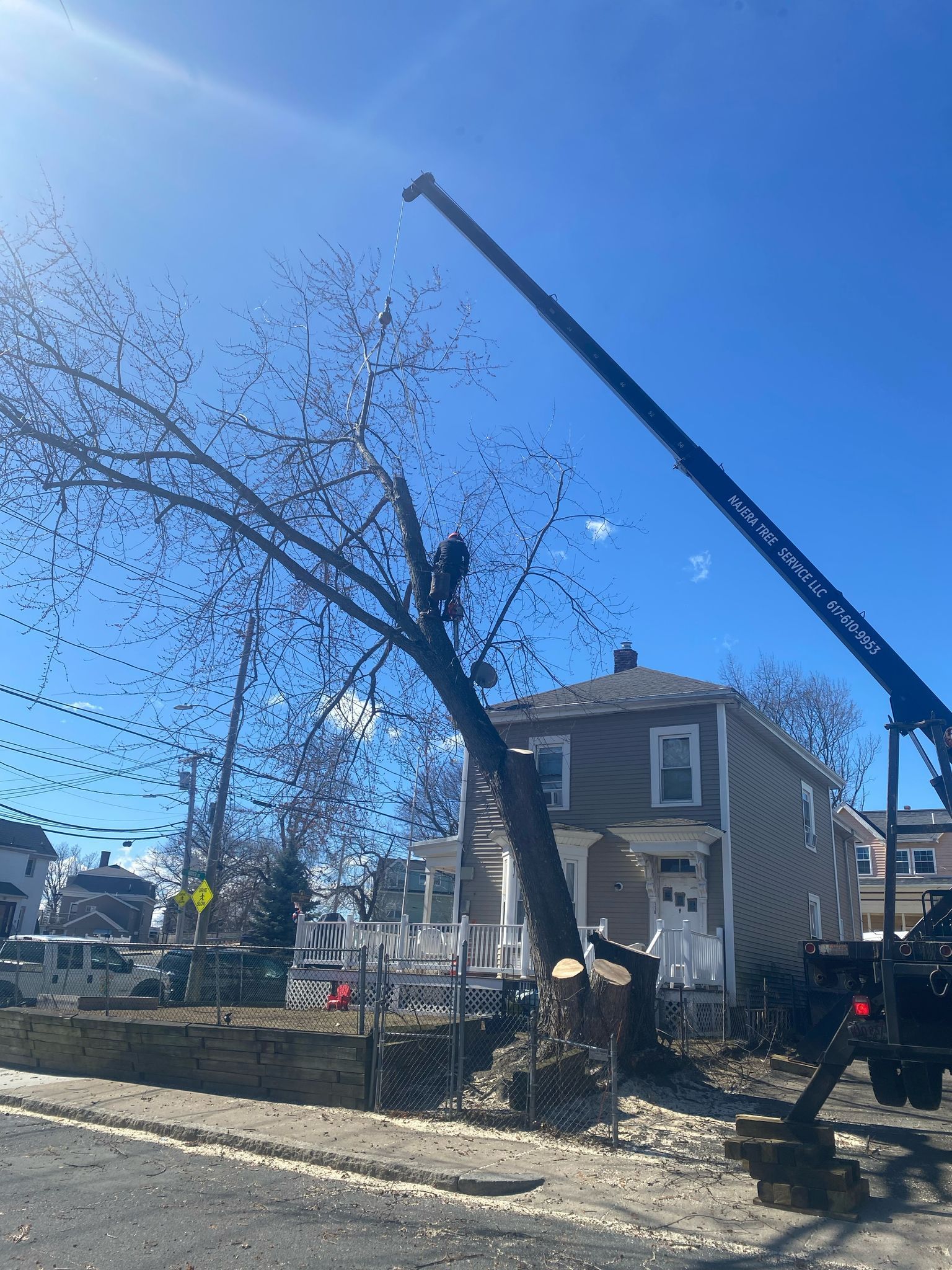 Crane lifting a large tree beside a house on a sunny street, with branches piled below.