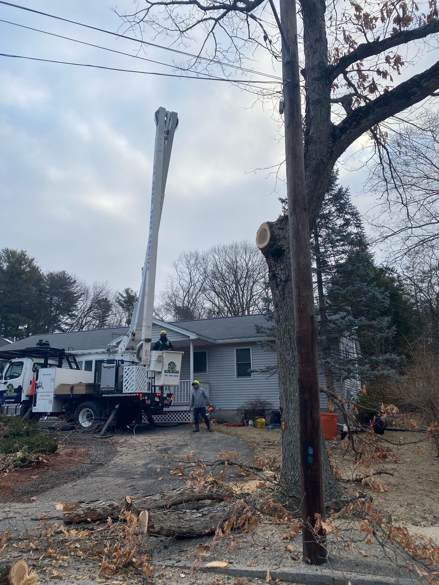 Utility truck trimming a tall tree beside a house on a cloudy day
