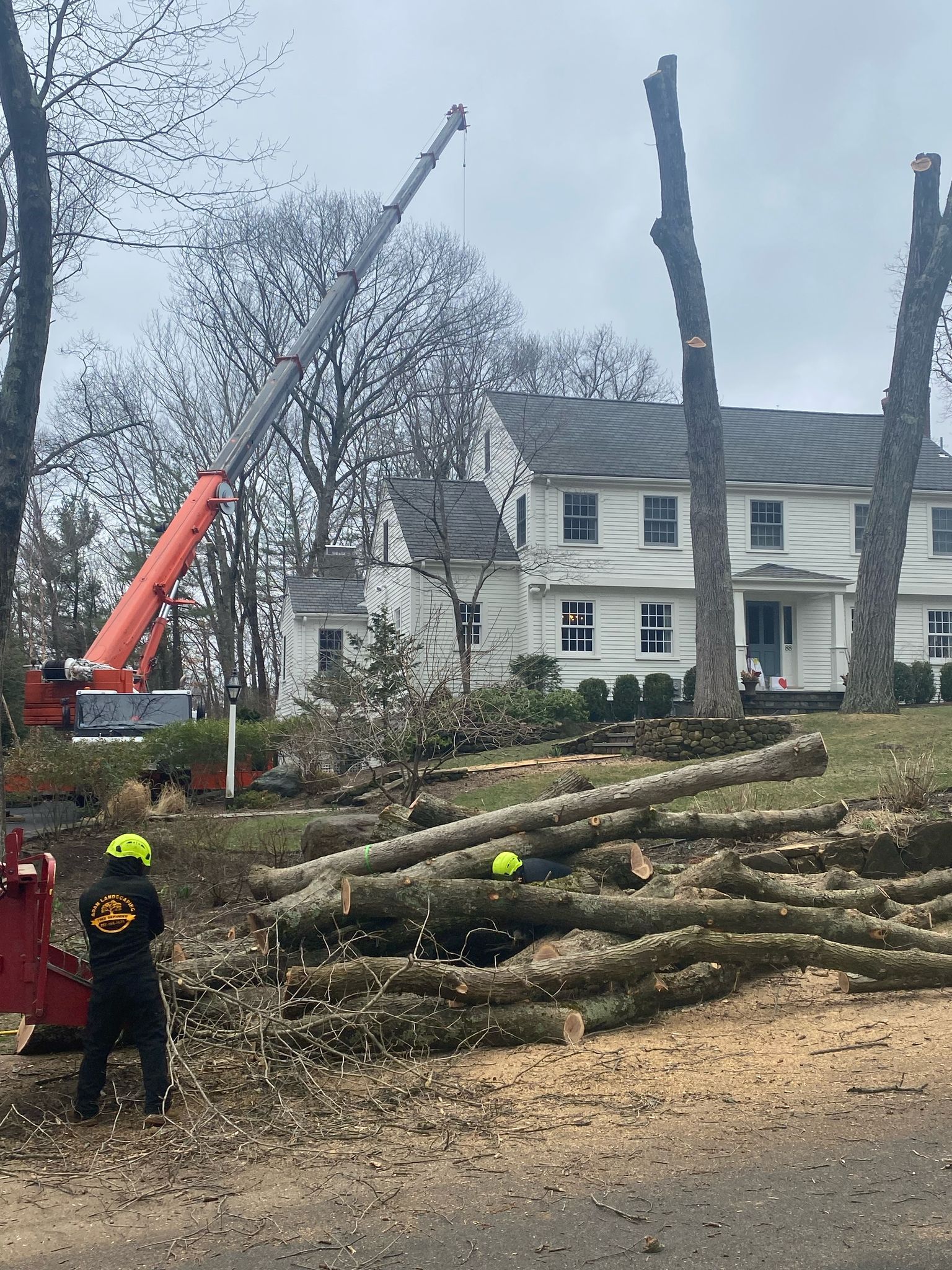 Tree removal crew with crane and felled logs in front of a large white house