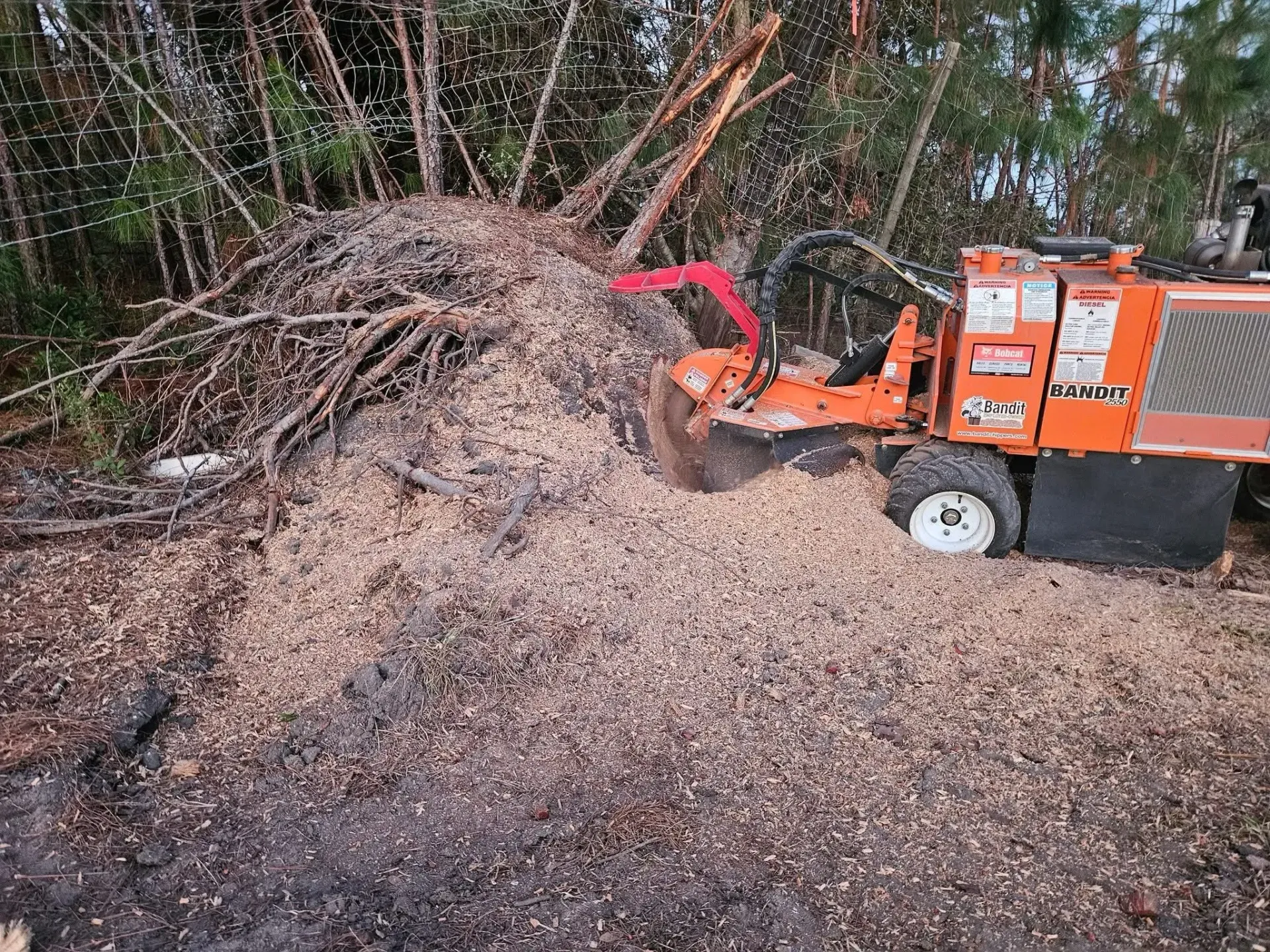 Orange wood chipper blowing mulch into a pile in a wooded area.