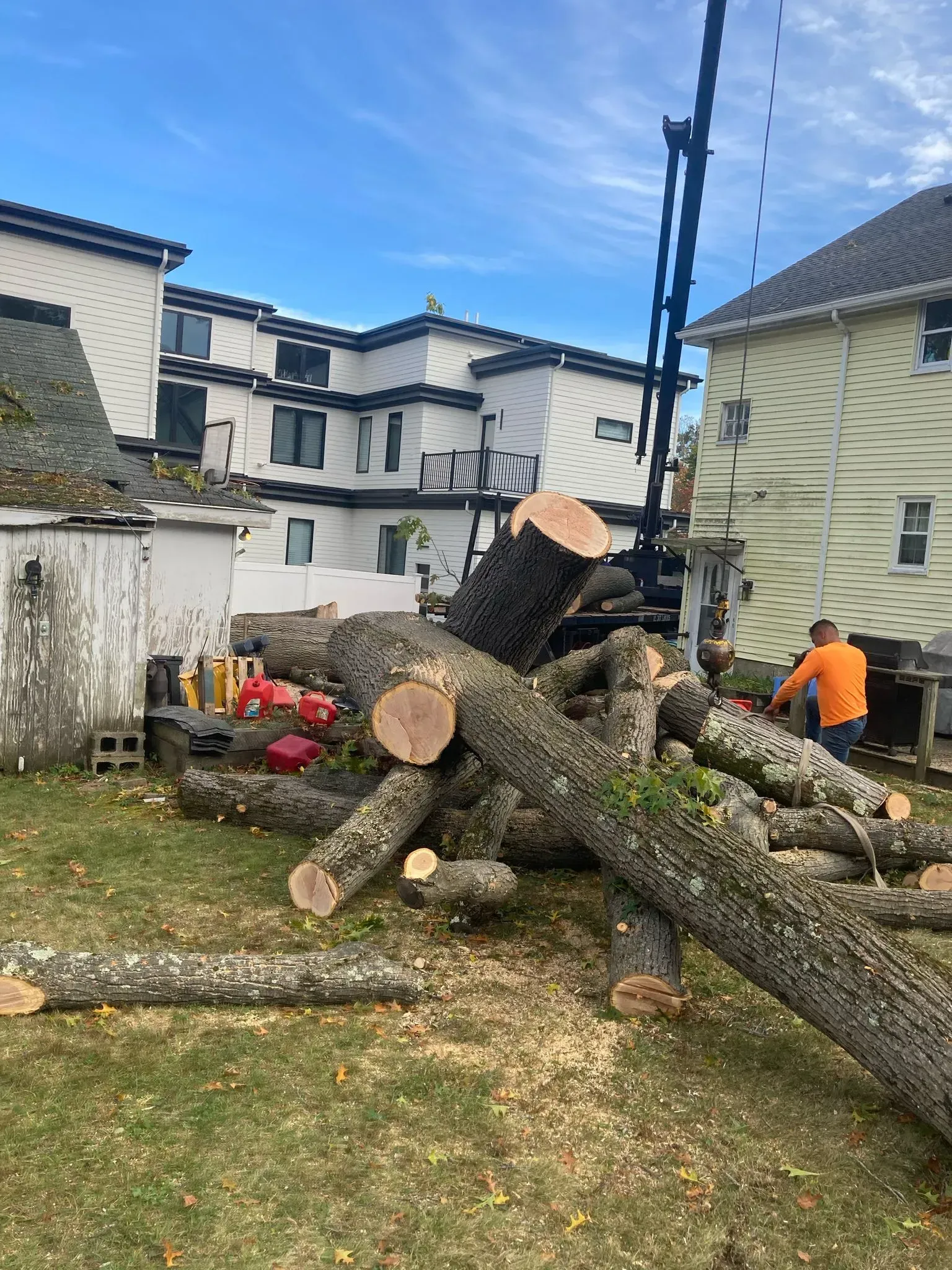 Workers cutting down a large fallen tree beside houses, with logs scattered on the grass.