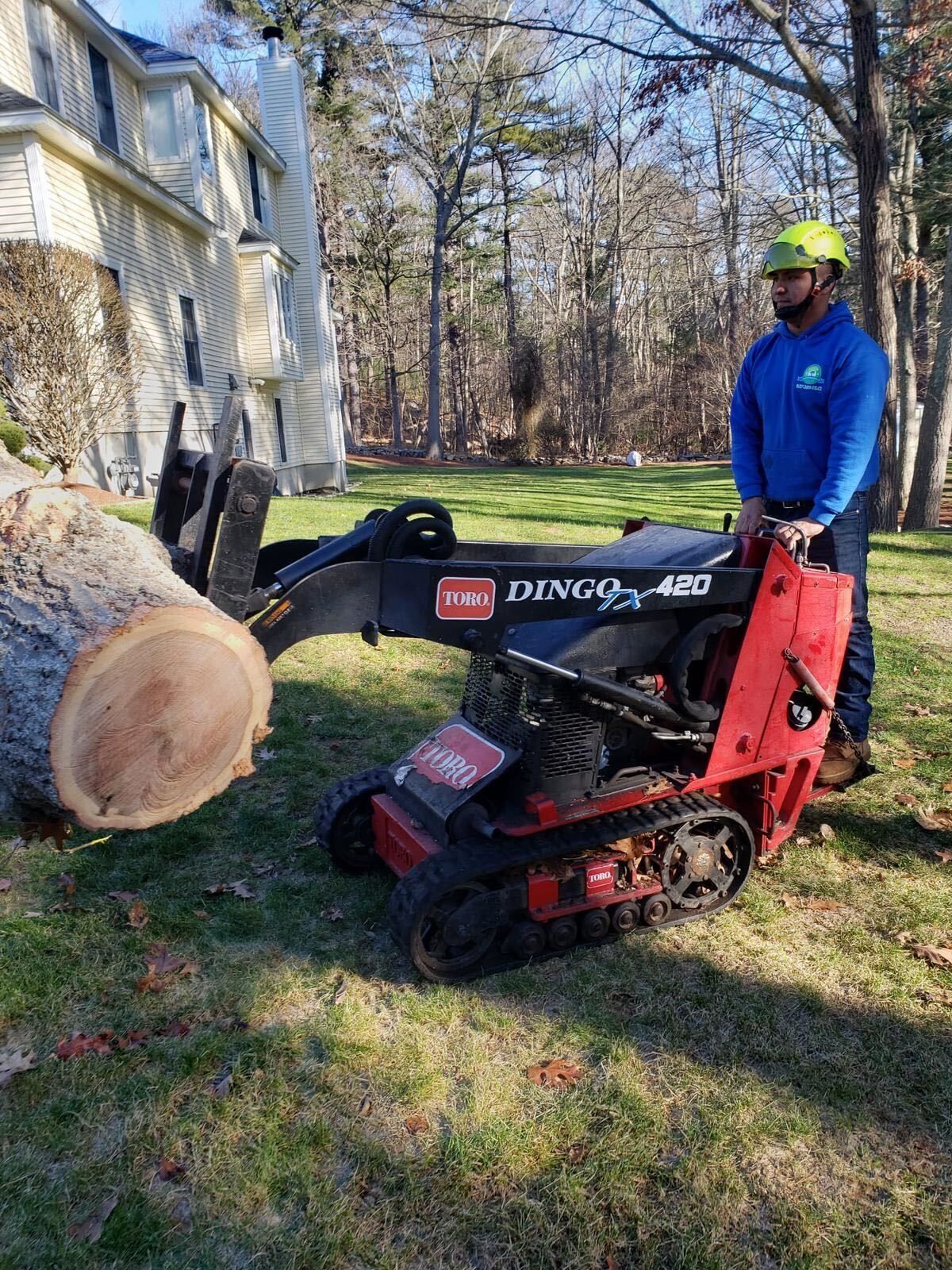 Person operating a red mini skid steer to move a large tree trunk beside a house in a wooded yard