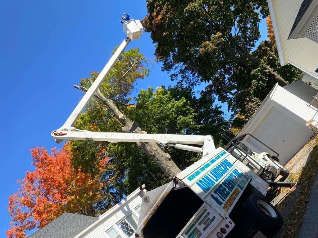 Utility bucket truck with raised boom trimming a tree beside a house on a sunny day.