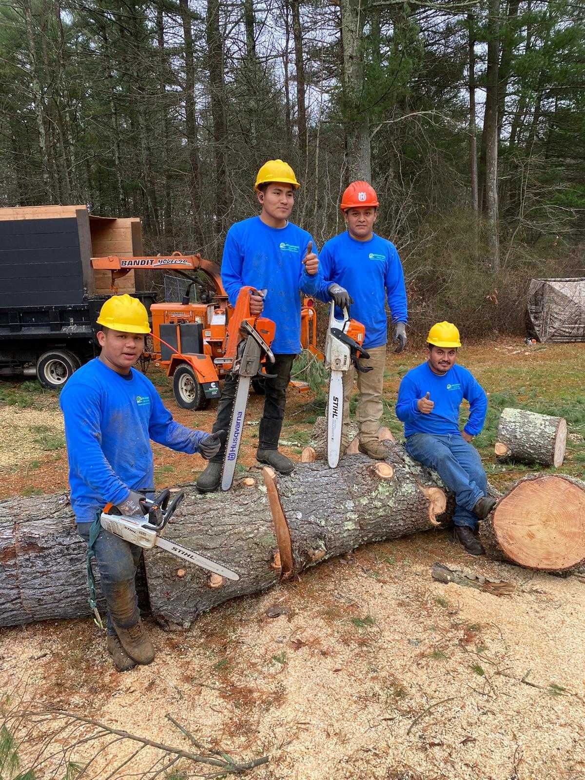 Workers in blue shirts and hard hats stand by a log splitter in a wooded worksite.