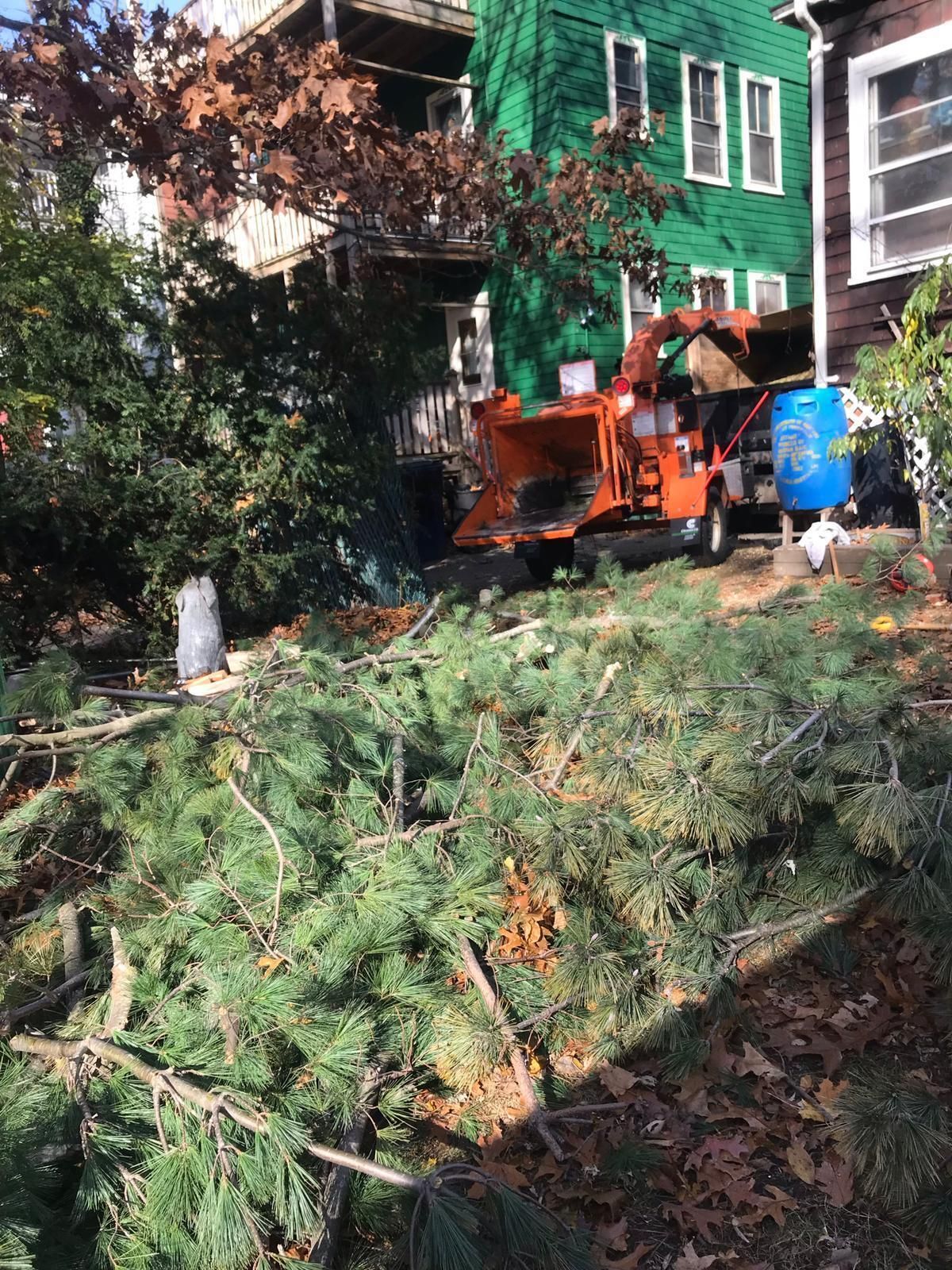 Orange lift near green house with fallen tree branches in the foreground