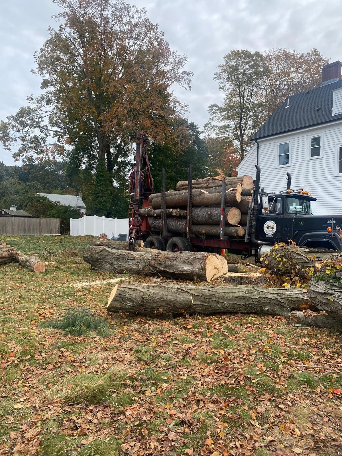 Logs piled beside a black truck in a leafy yard near a white house, with a large log in the foreground