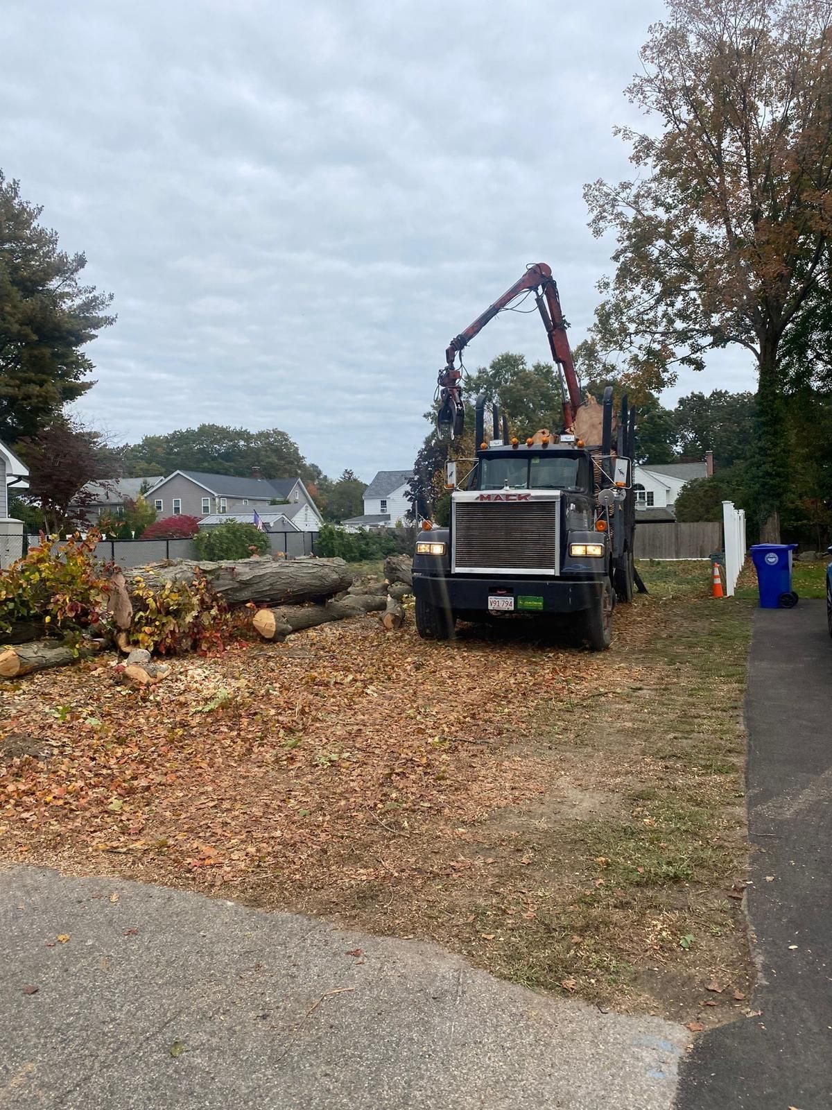 Tree-cutting truck and crane on a leaf-covered residential driveway under an overcast sky