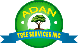 Adan Landscaping & Tree Services Inc Logo
