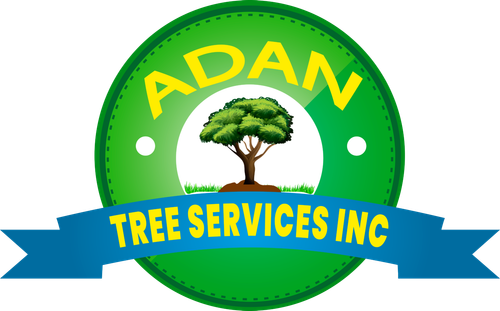 Adan Landscaping & Tree Services Inc Logo