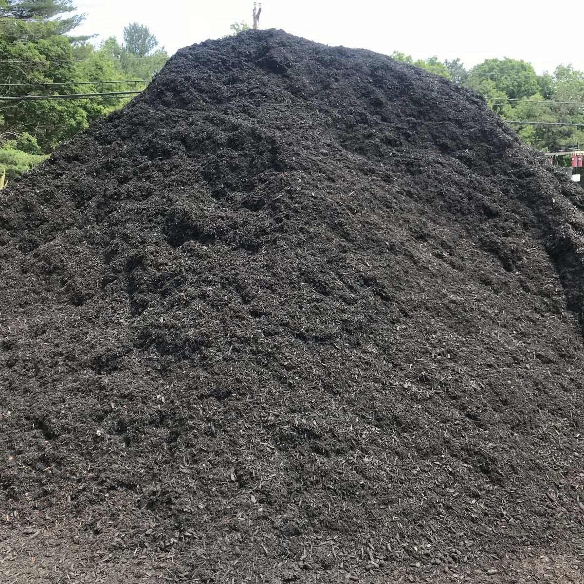 Black Mulch