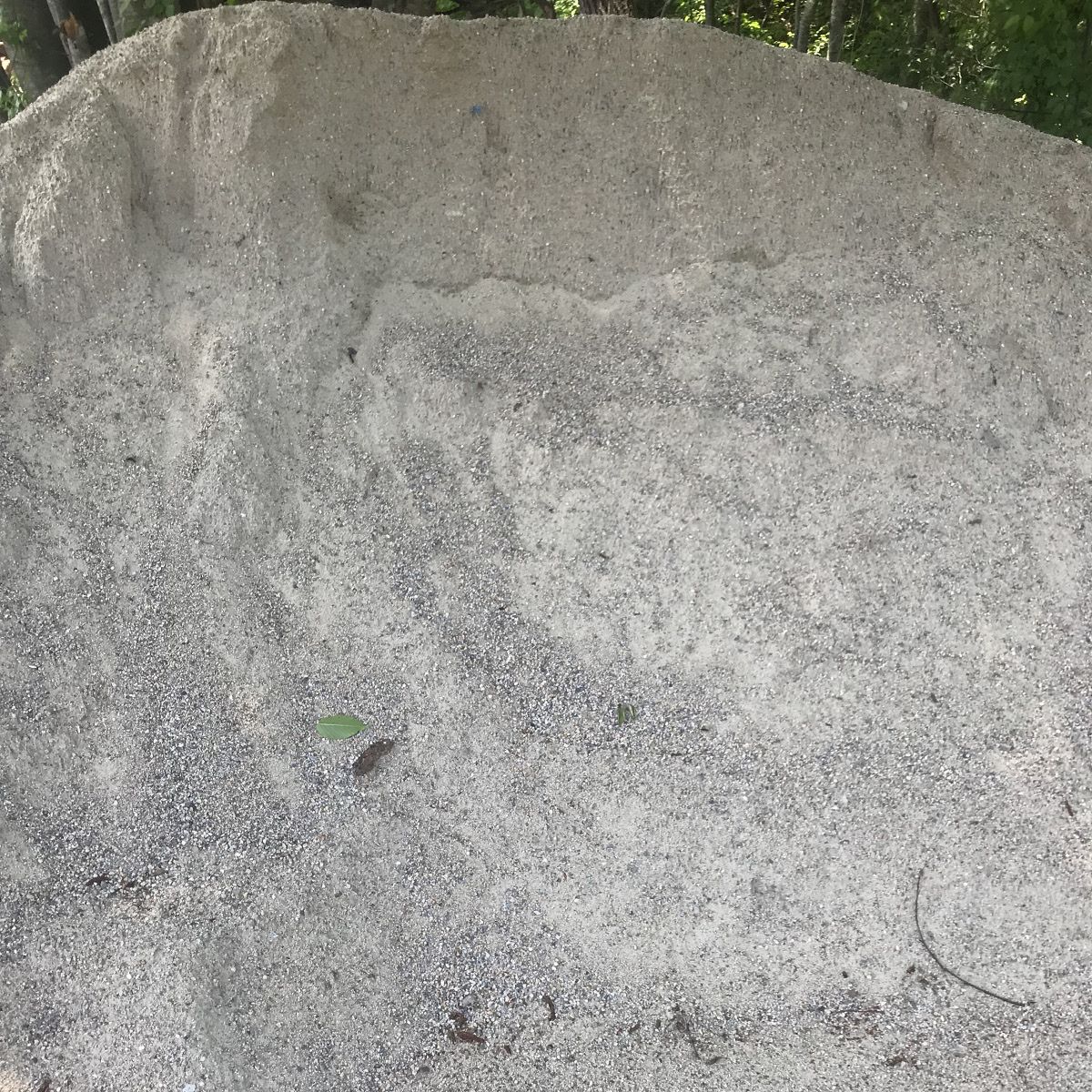 A large pile of gravel is sitting in the middle of a forest.