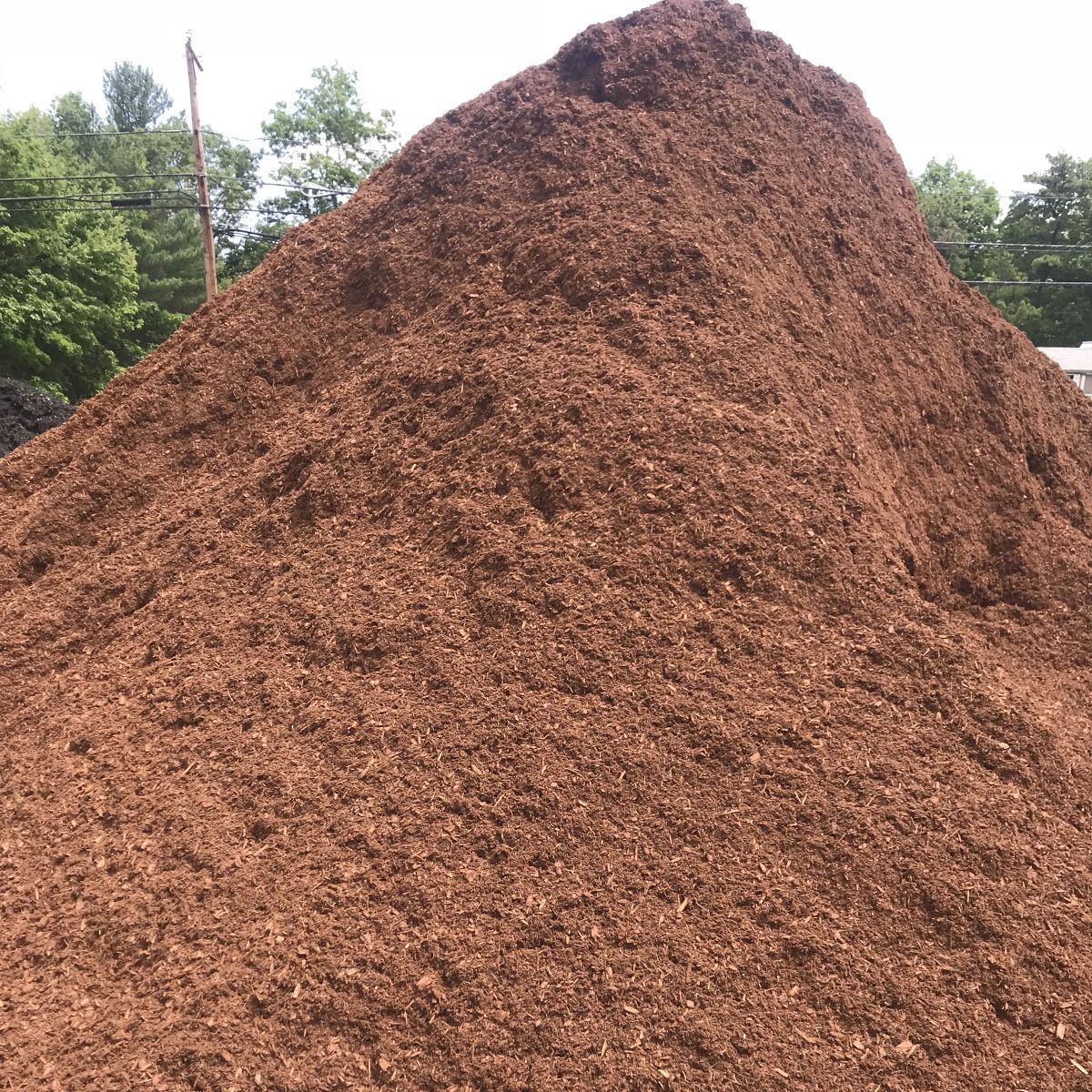 Hemlock Mulch