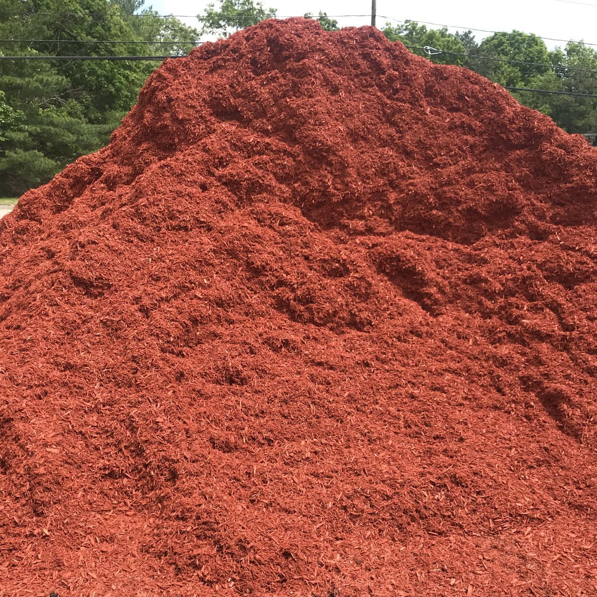 Red Mulch