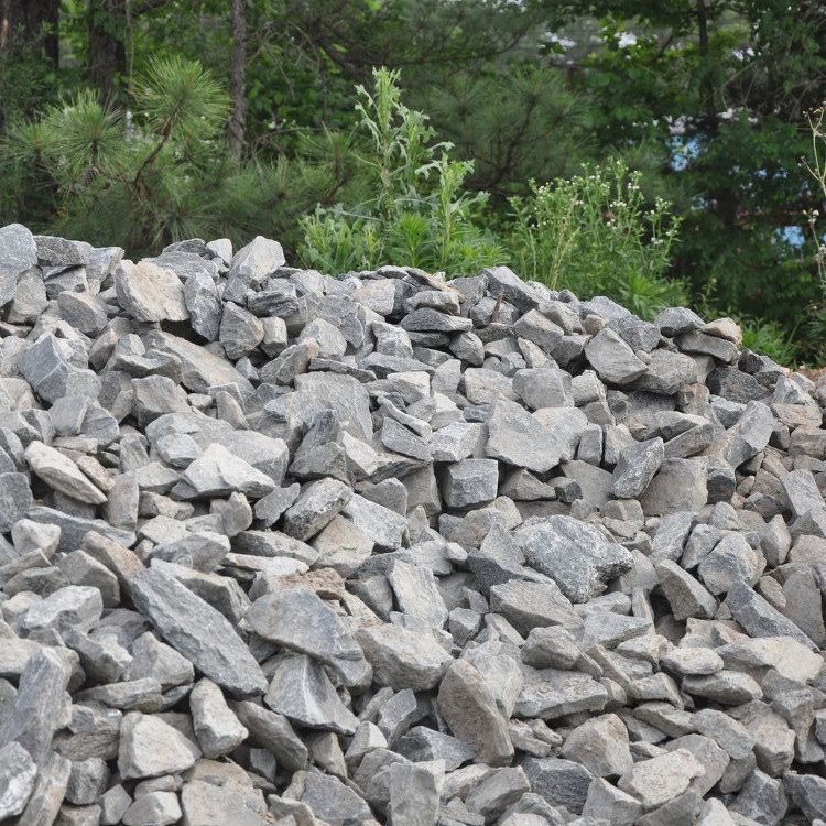 A pile of rocks with trees in the background