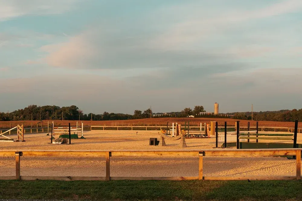 Equestrian arena with jumps set up; tan surface, wooden fence, trees in background under a cloudy sky.