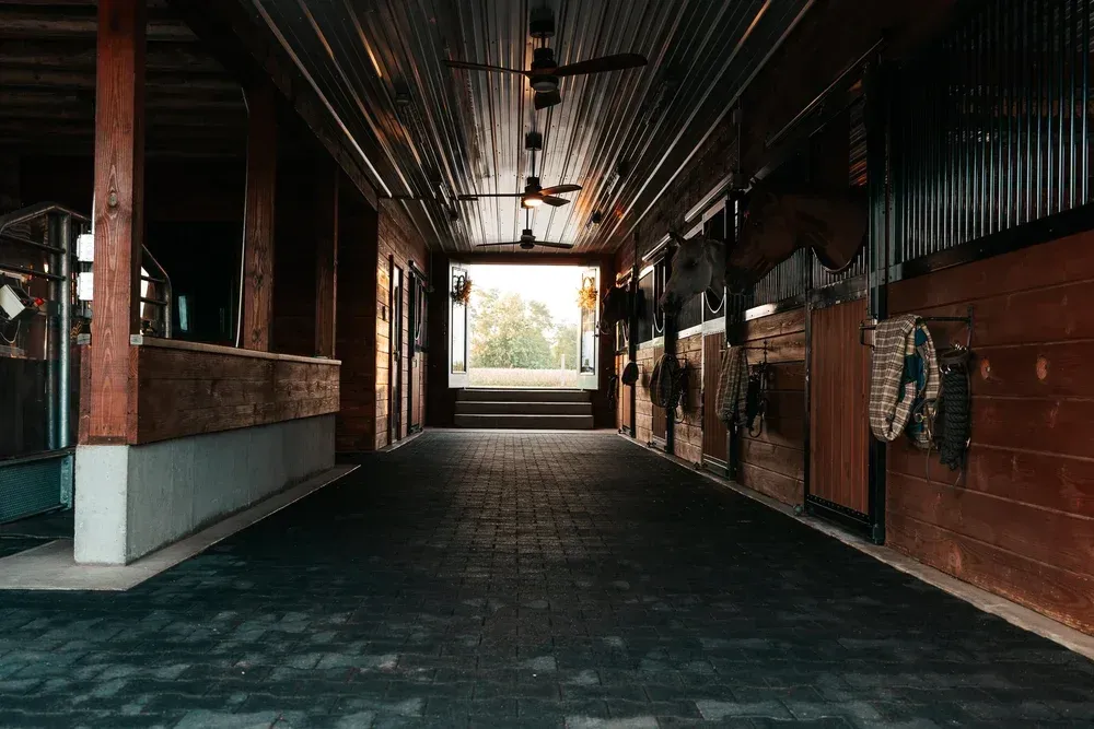 A long stable hallway with stalls, horses, and sunlight at the end.
