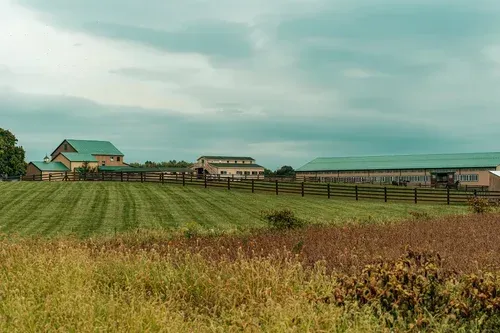 Green-roofed barns on a farm with a freshly mowed field in front and an overcast sky.