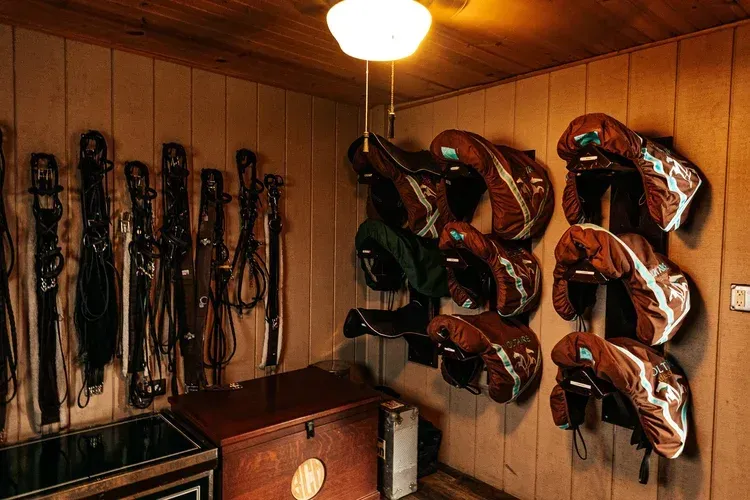Tack room: Saddles and harnesses on wood paneled walls, under a light. Wooden storage box.