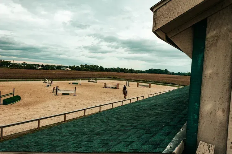 Equestrian arena with jumps; horse and rider on the sand. Overcast sky, green and brown landscape in the distance.