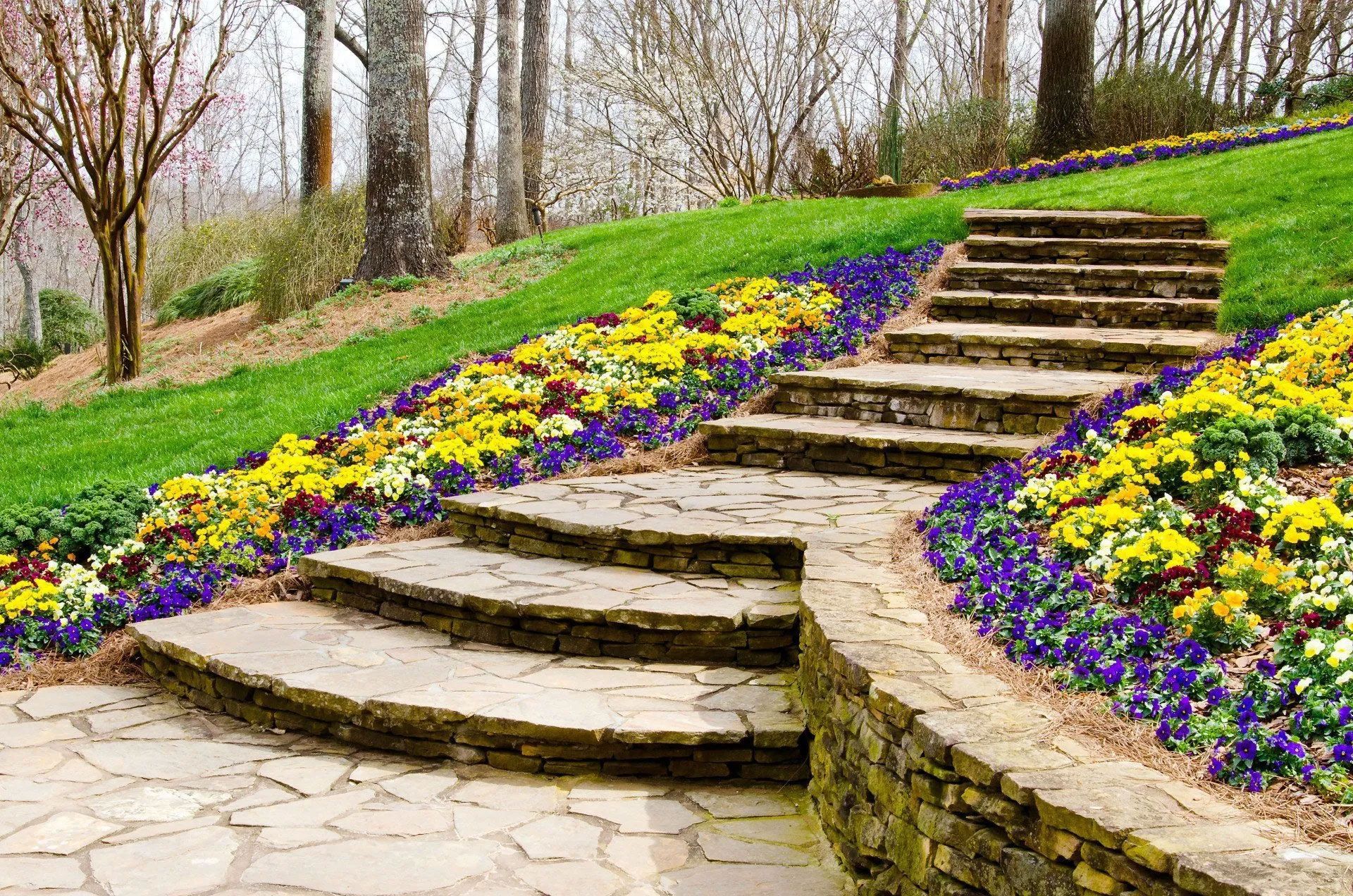Stone steps leading up a hillside garden, surrounded by colorful flowers.
