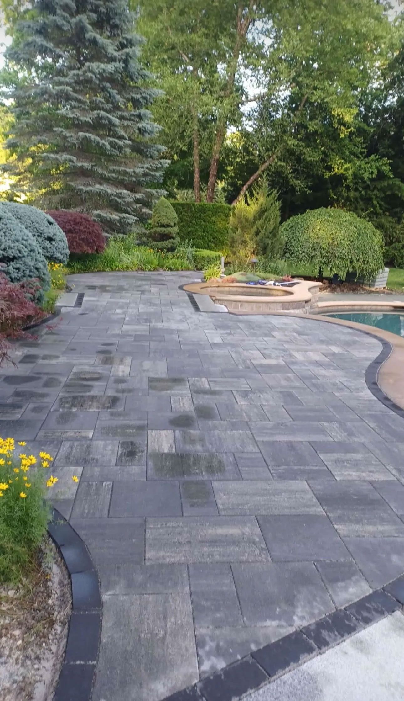 Paver patio with dark border surrounds a pool, surrounded by lush greenery.