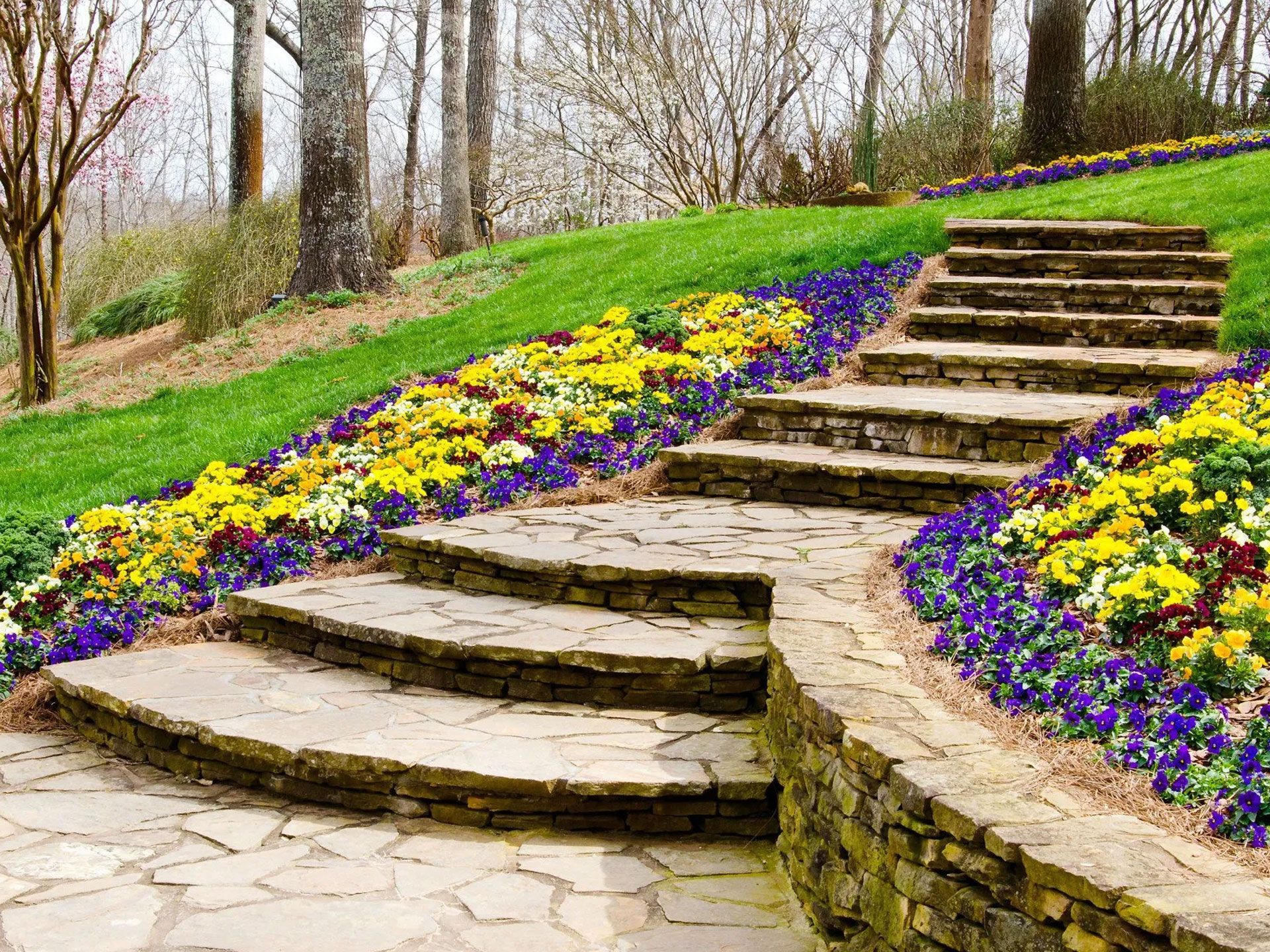 Stone steps ascend a grassy hill lined with yellow and purple flowers, trees in background.