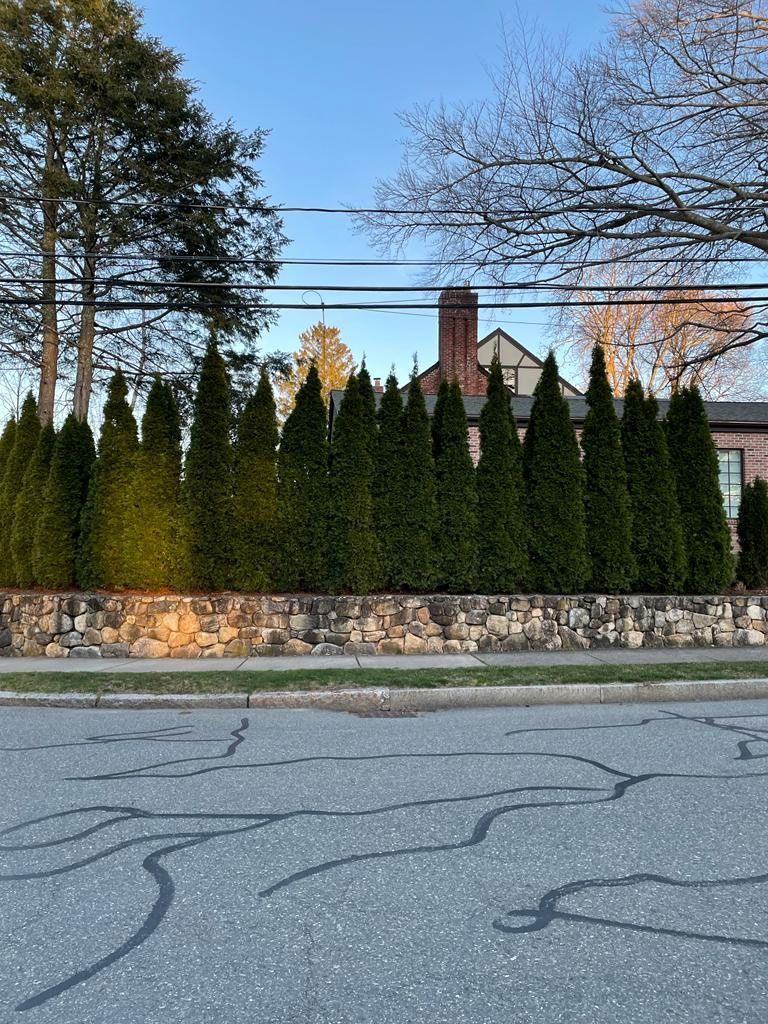 Green hedge along a stone wall in front of a house with a brick chimney and trees.