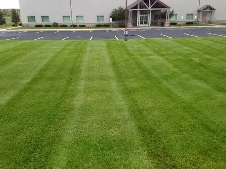 A mowed lawn with distinct light and dark green stripes in front of a modern commercial building and parking lot.