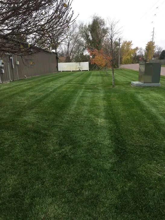 A freshly mown green lawn with visible grass stripes, bordered by a building, trees, and utility equipment.