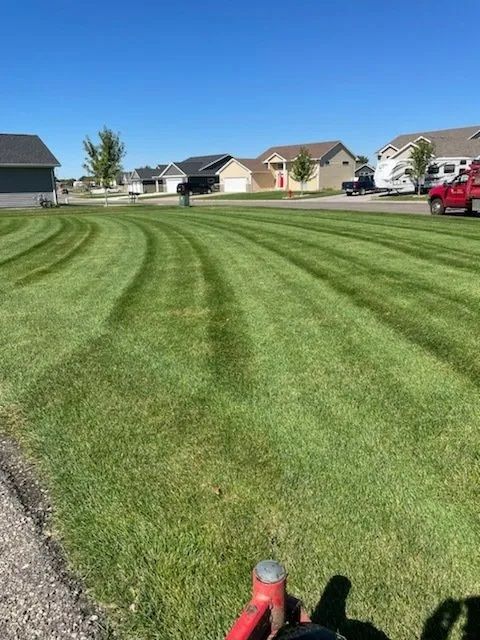 A freshly mown suburban lawn with striped grass patterns, viewed from the perspective of riding a lawn mower.