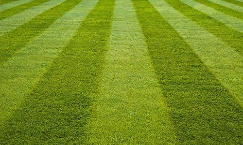 A sports field with a pattern of alternating light and dark green mowed grass stripes.