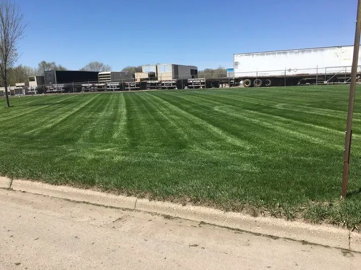 A large, vibrant green lawn with crisp mowing stripes, bordered by a concrete curb with industrial buildings in the rear.