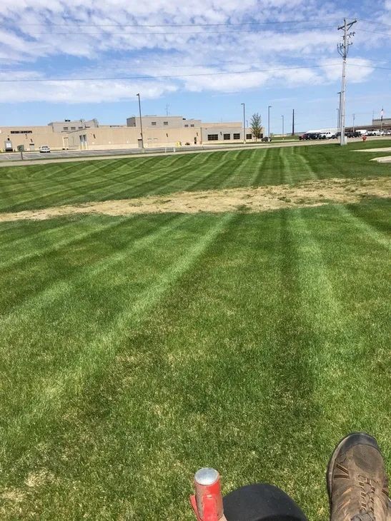 First-person view of freshly mowed striped grass with a building in the distance, a shoe, and a drink can in the foreground.