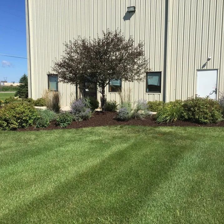 A beige warehouse exterior with a tree and bushes in the landscaped front lawn under a clear blue sky.