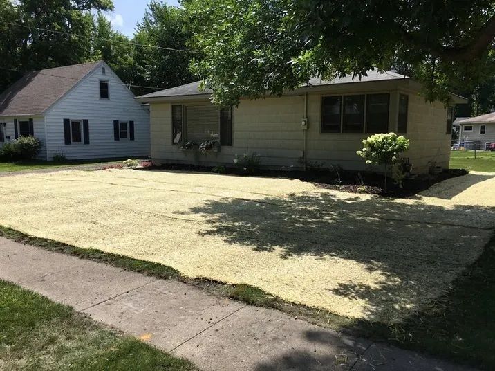 A residential front yard covered in light-colored straw or erosion control matting in front of a tan house.
