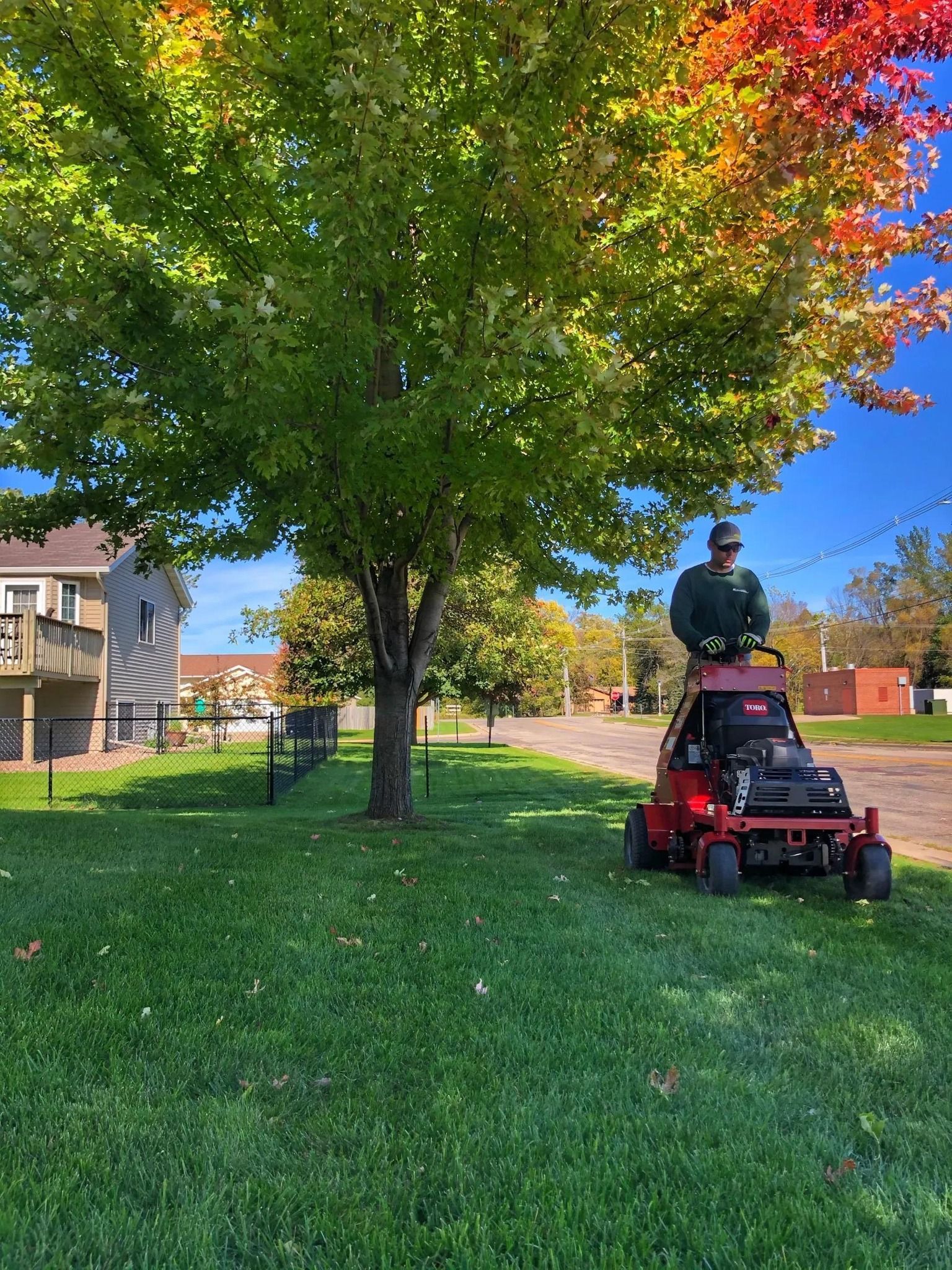 A person riding a red lawn mower under a large tree with green and red autumn leaves on a sunny day.