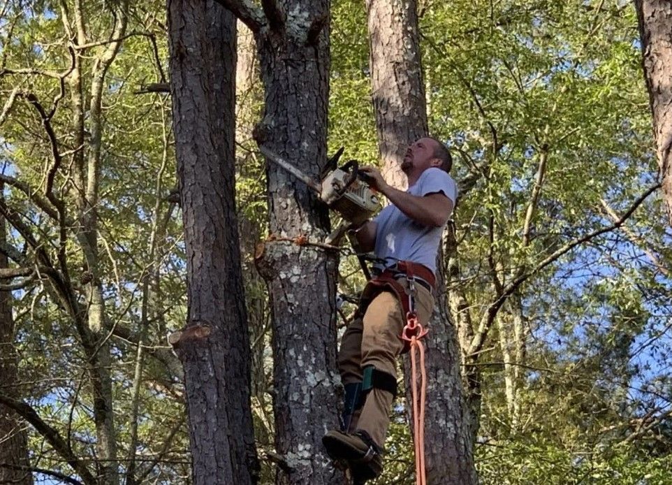 Tree company staff holding a chainsaw